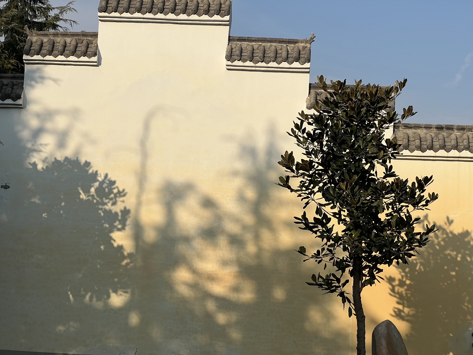 廉园旅行图片 3