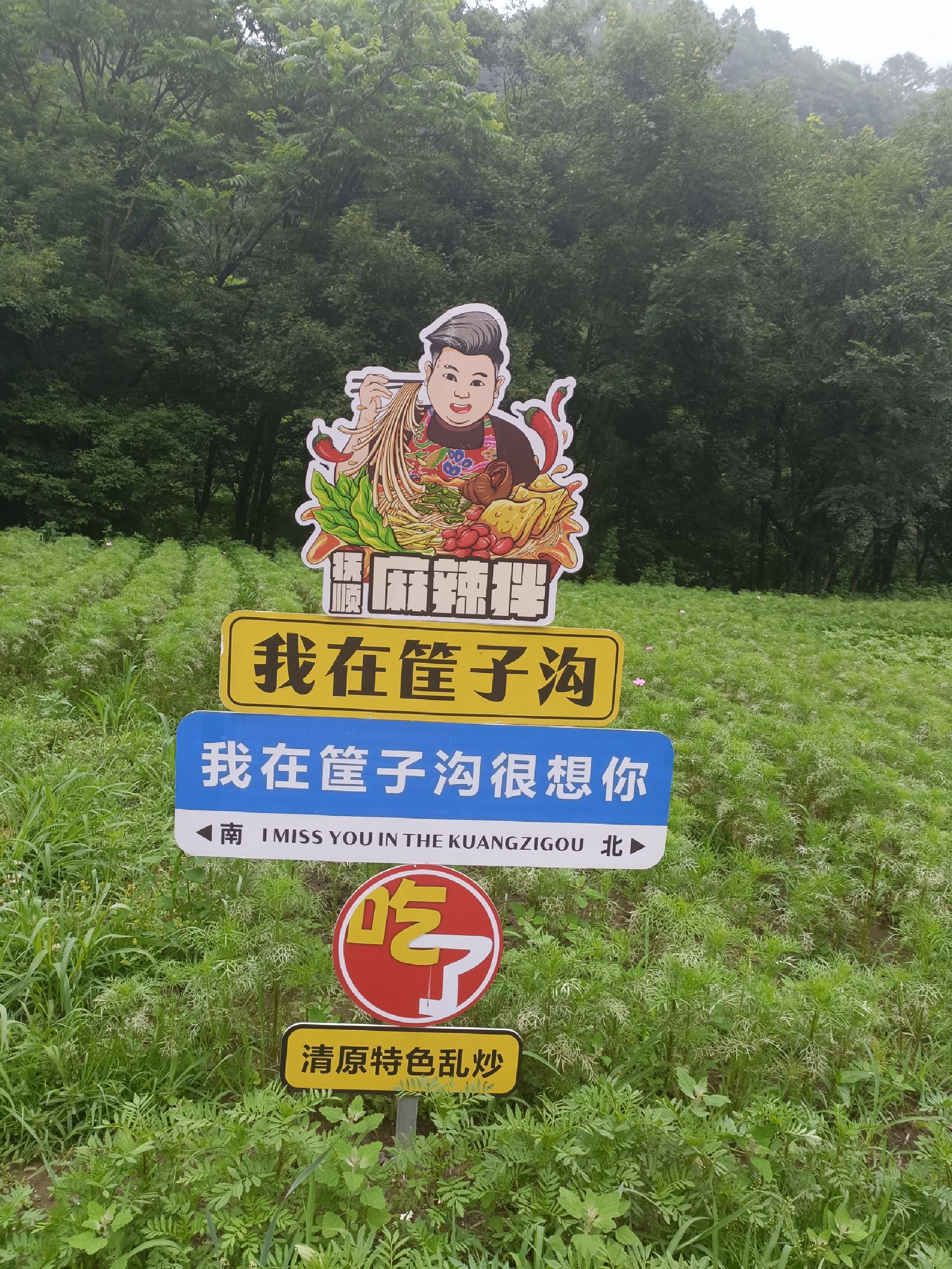 筐子沟(暂停开放)旅行图片 3