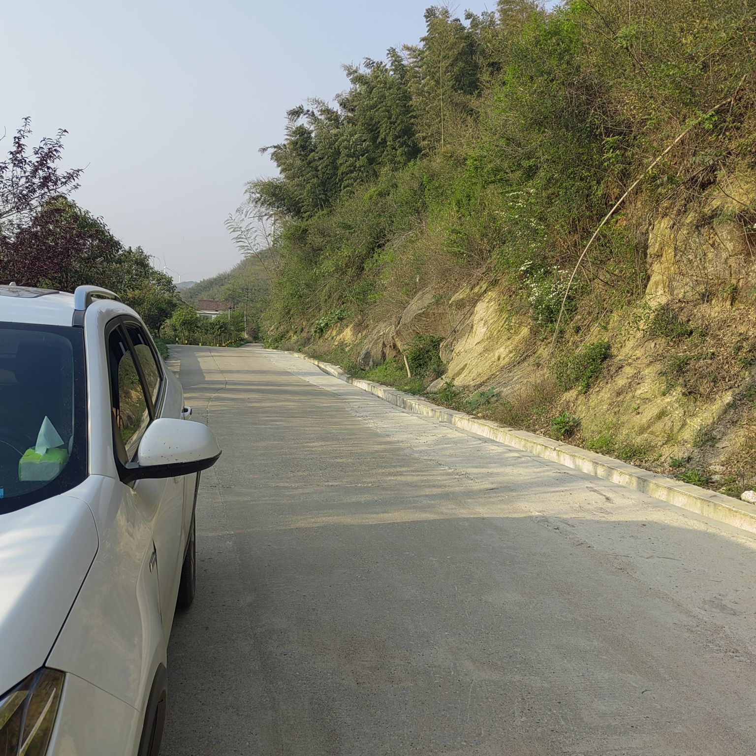 桃花山森林公园旅行图片 3