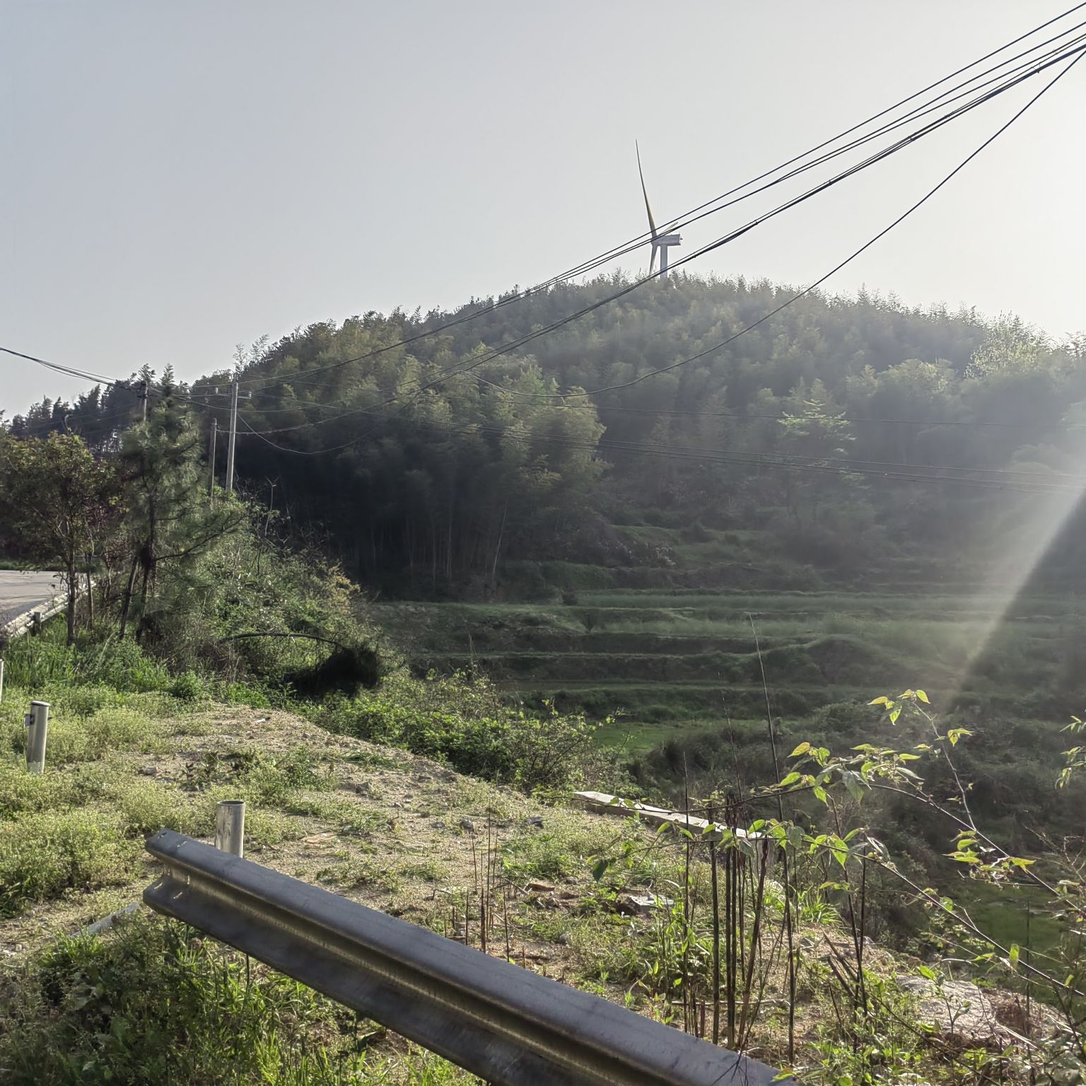 桃花山森林公园旅行图片 1