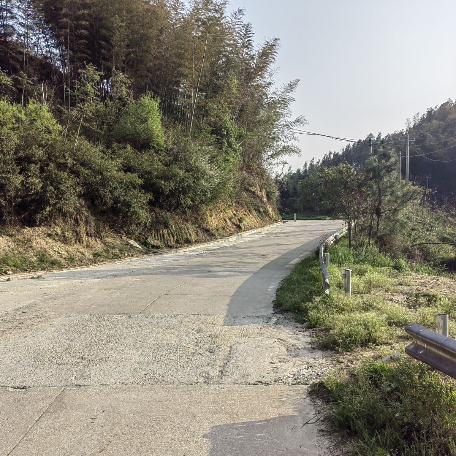桃花山森林公园旅行图片 2