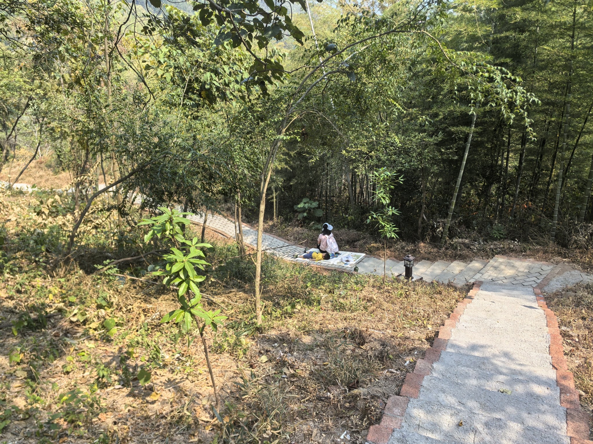 桃花山森林公园旅行图片 1