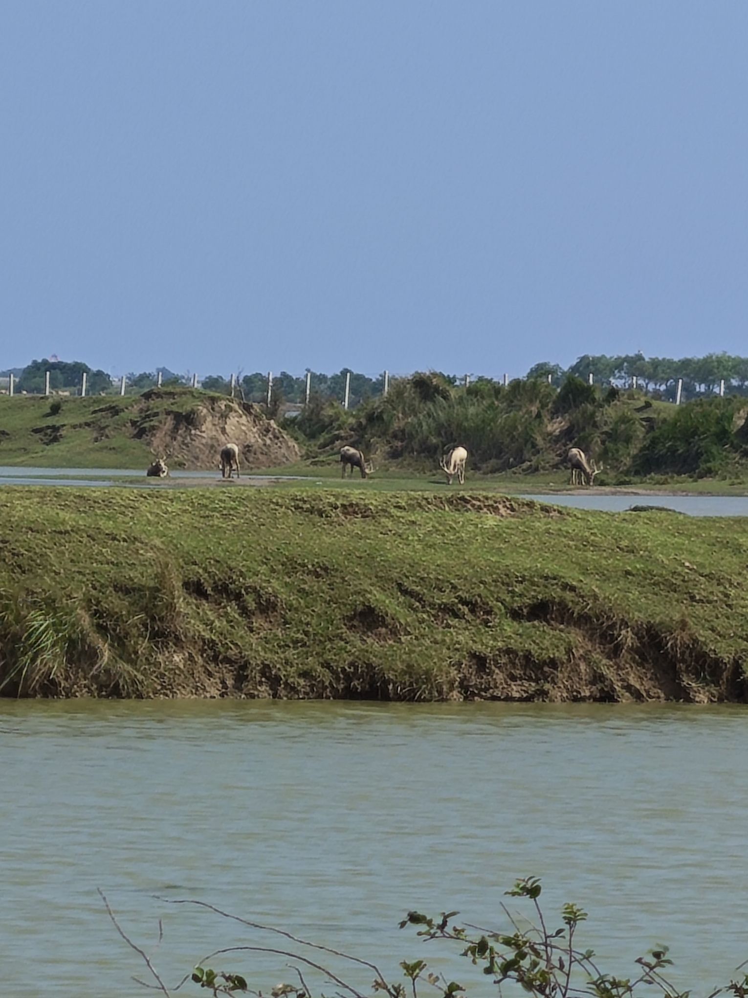 黄海野鹿荡旅行图片 3