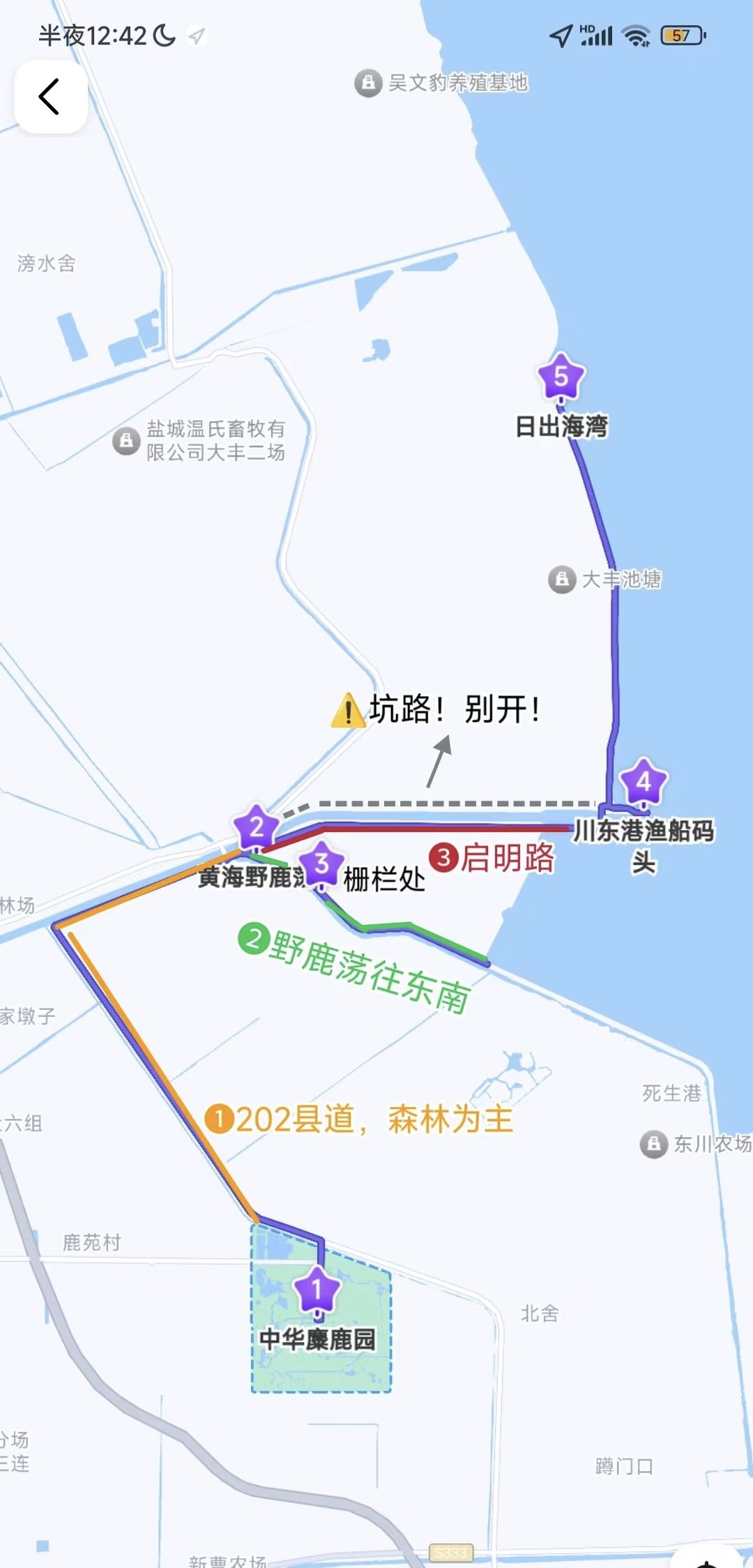 黄海野鹿荡旅行图片 3