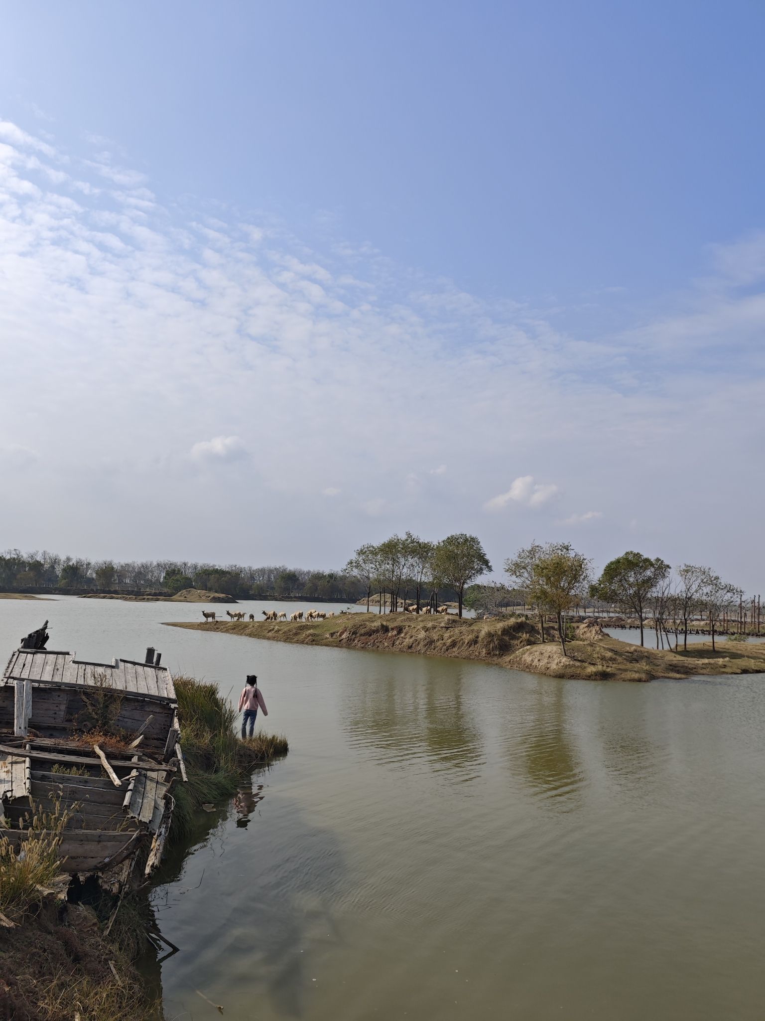 黄海野鹿荡旅行图片 3