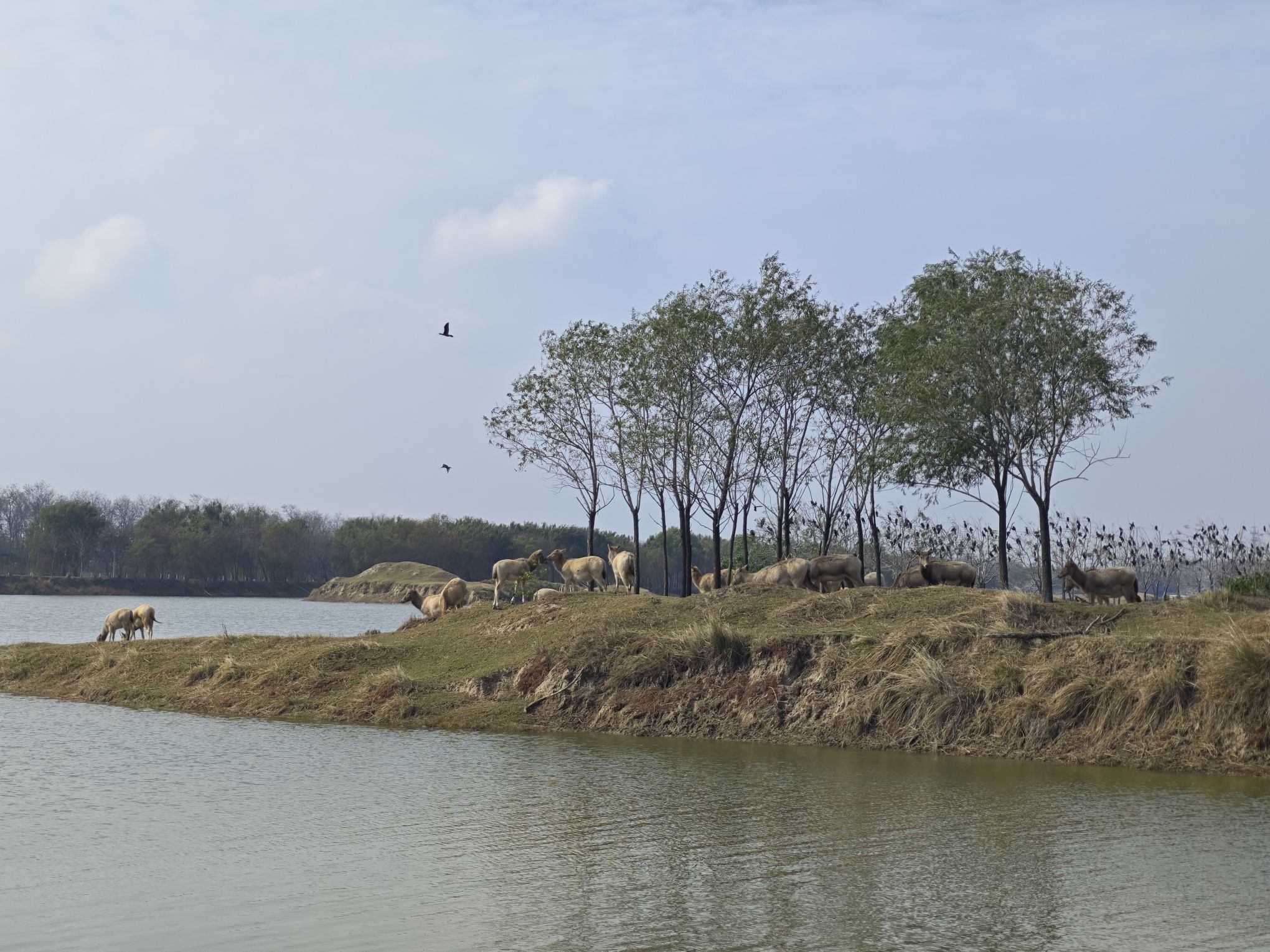 黄海野鹿荡旅行图片 2