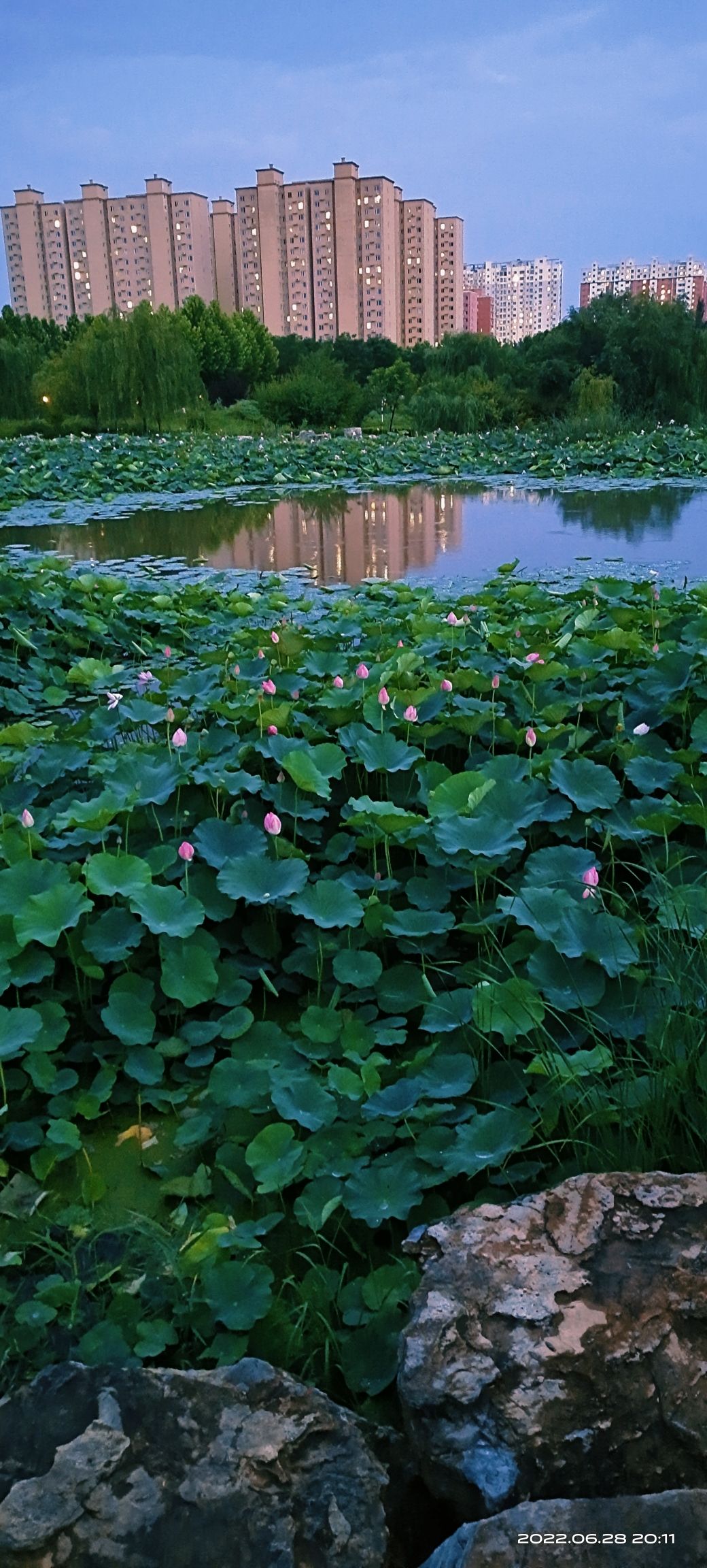 澄波公园旅行图片 2