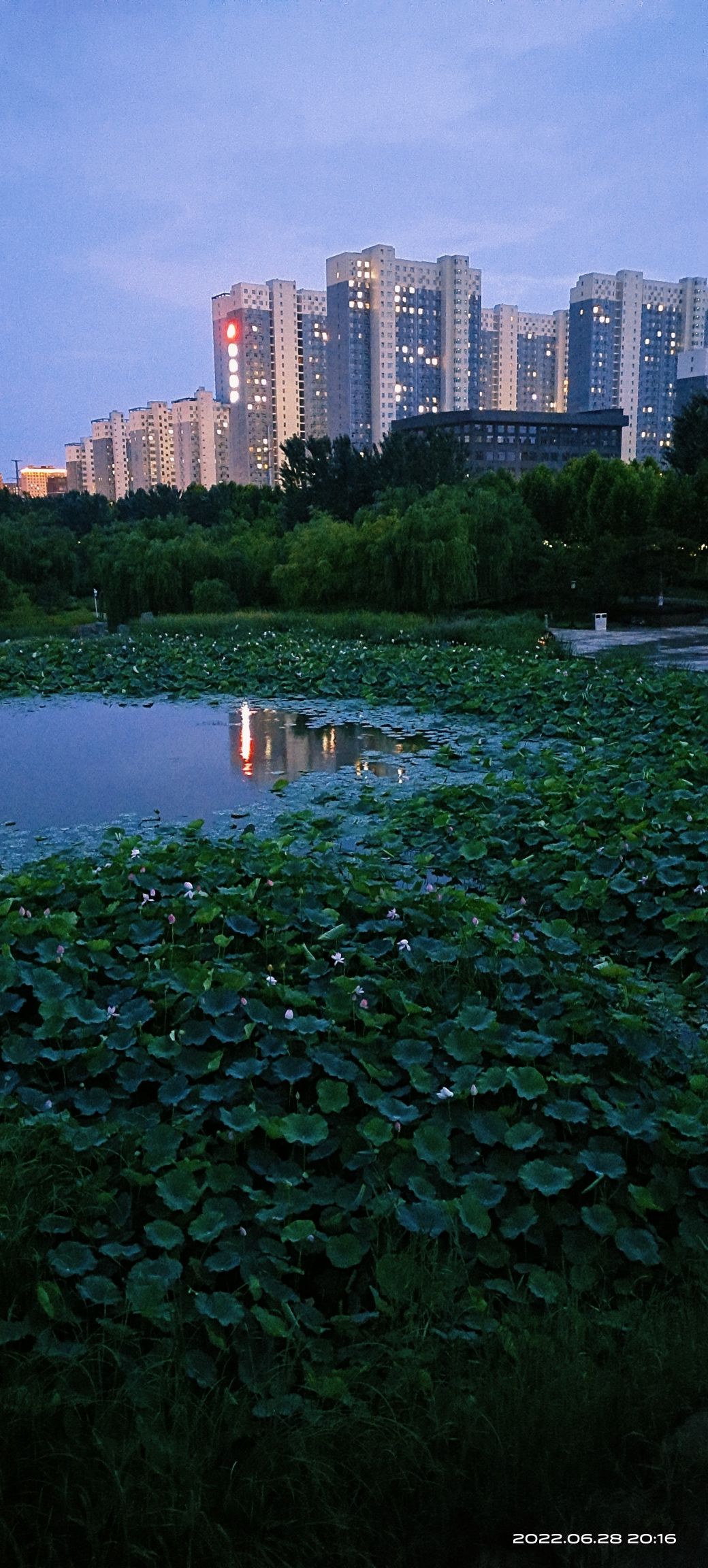 澄波公园旅行图片 1