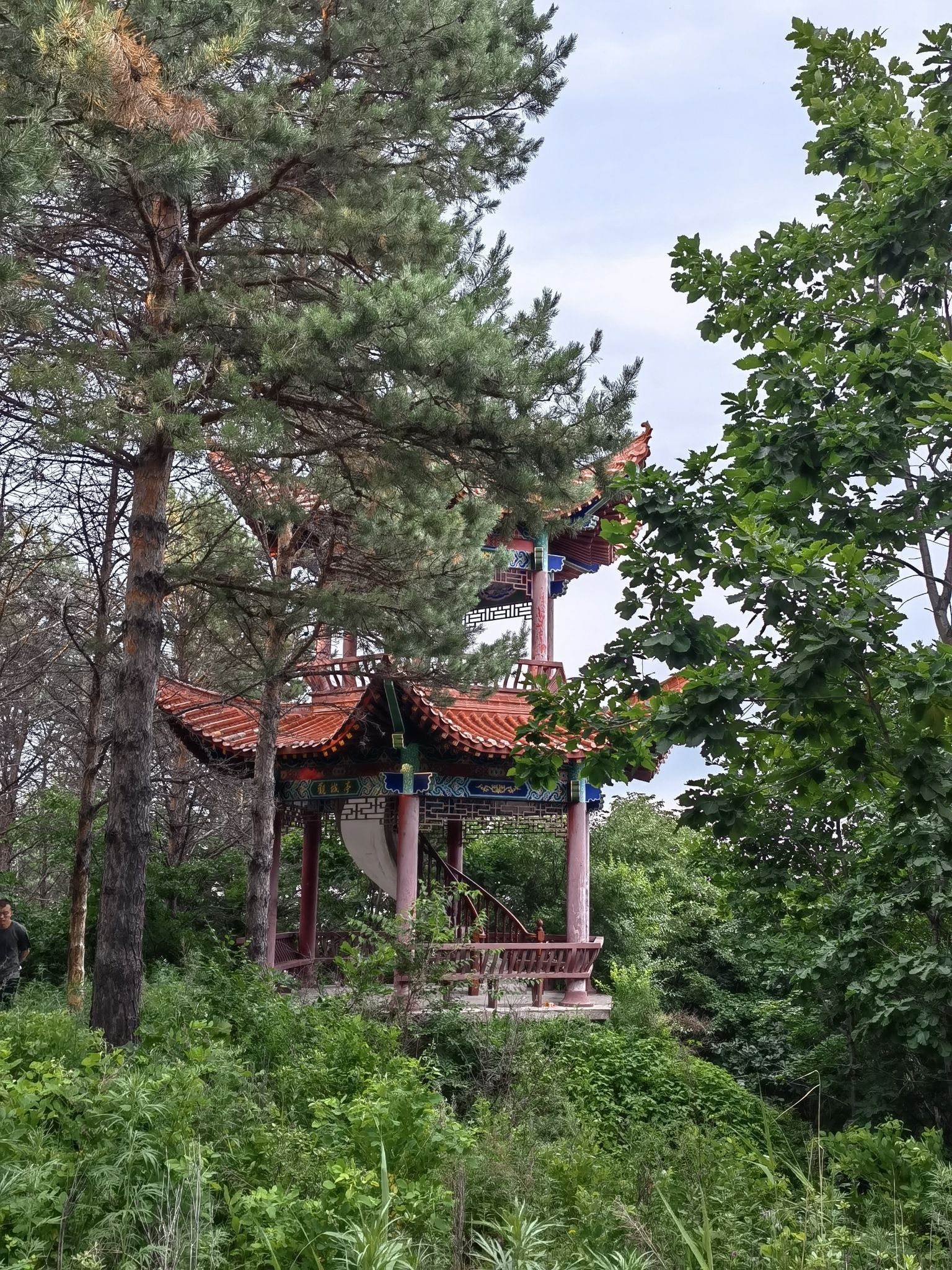 盛世祥和亭旅行图片 1