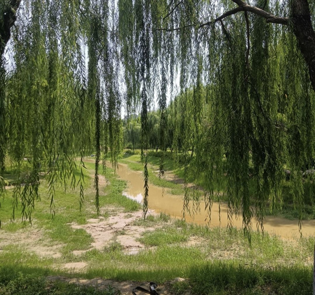 南湖公园旅行图片 3