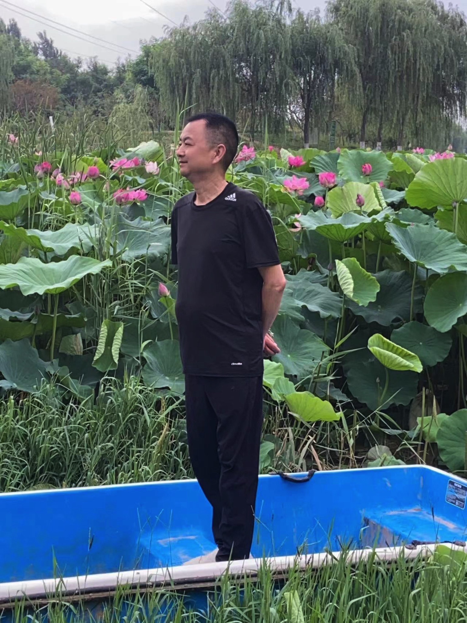 南湖公园旅行图片 1