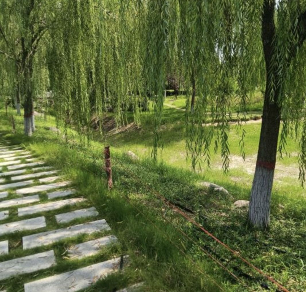南湖公园旅行图片 2