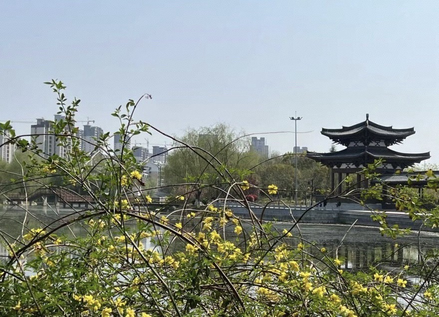 清水湾公园旅行图片 1