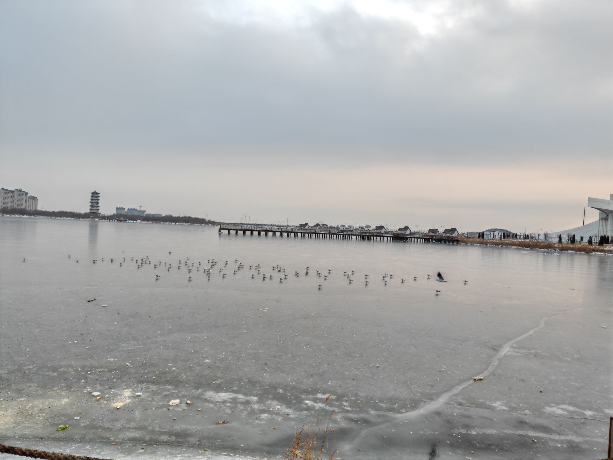 贝壳湖公园旅行图片 3