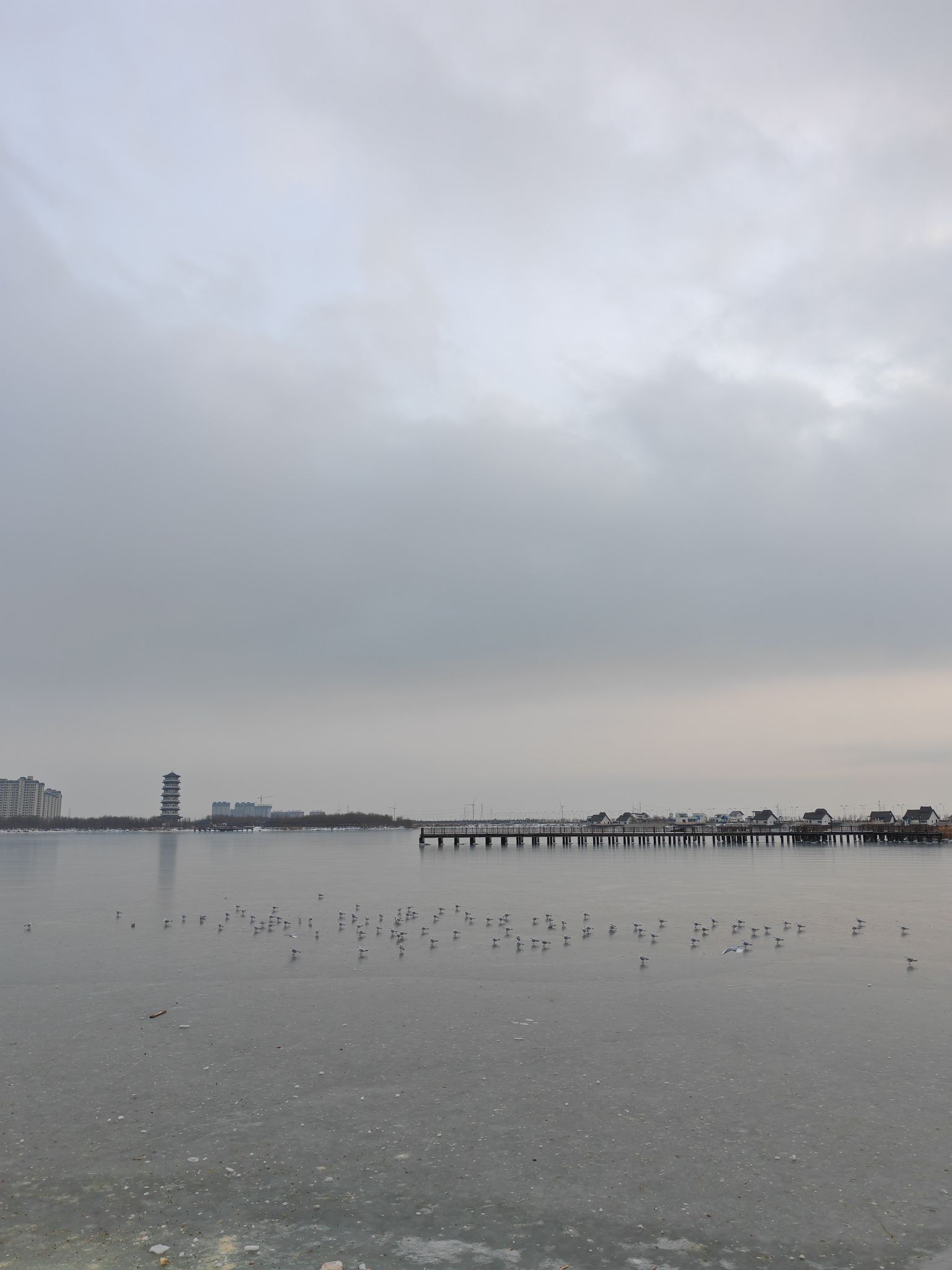贝壳湖公园旅行图片 2