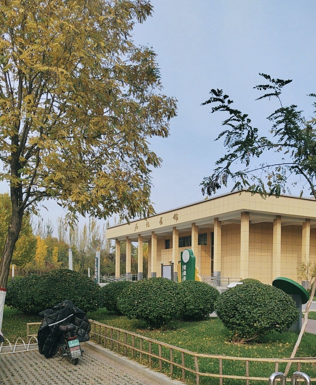 任丘市张华绿色公园旅行图片 2