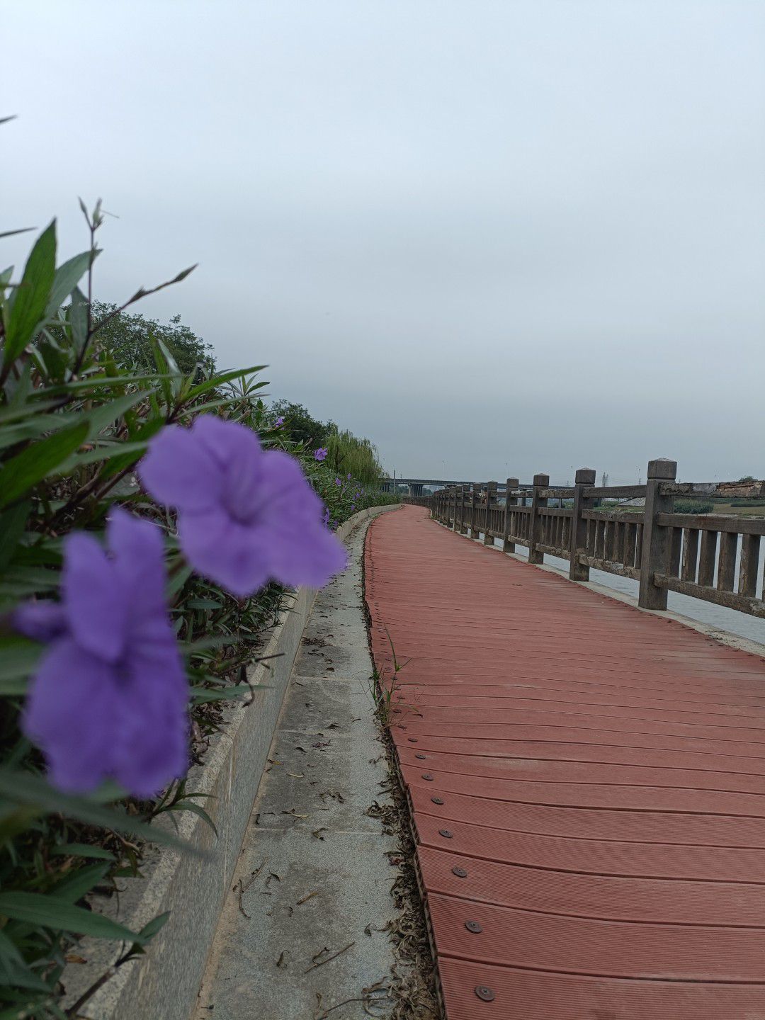 花海生态公园旅行图片 3