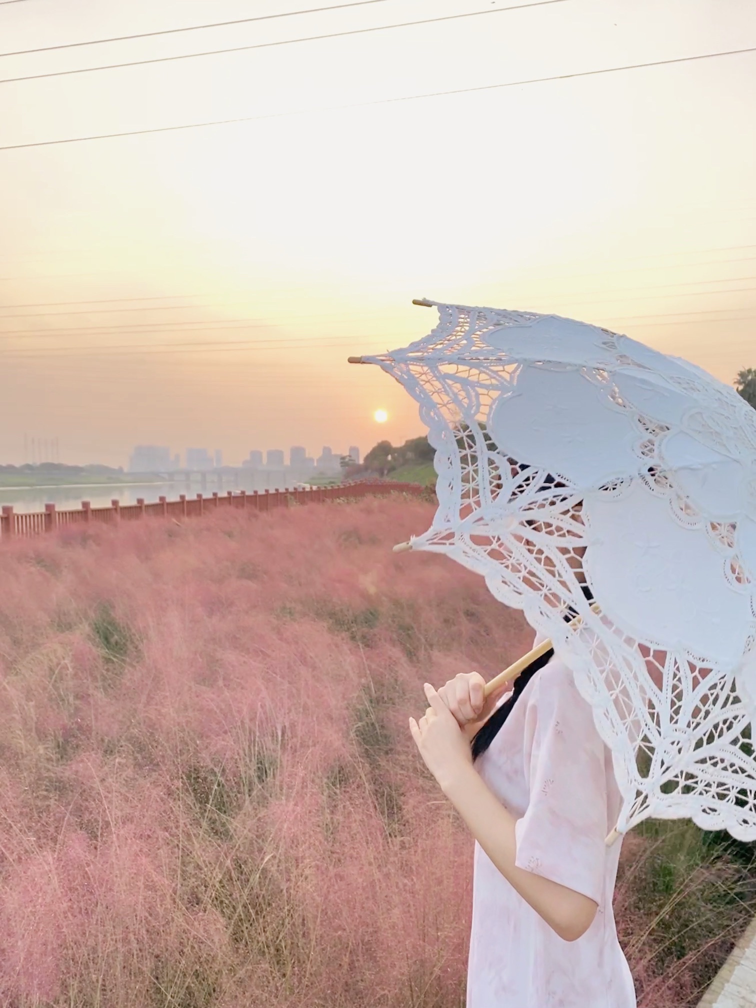花海生态公园旅行图片 2