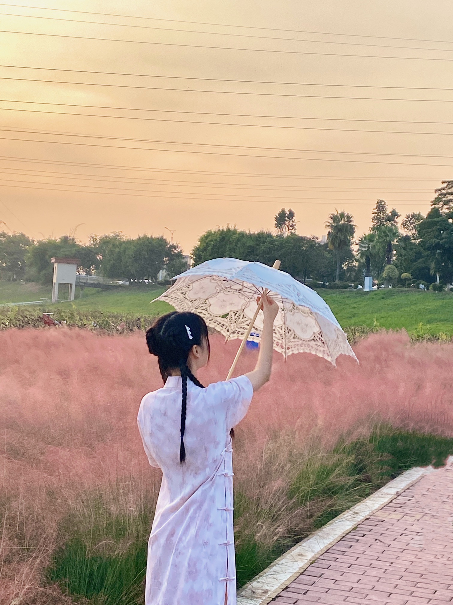 花海生态公园旅行图片 1