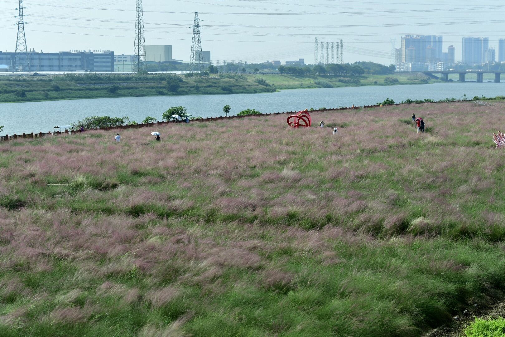 花海生态公园旅行图片 3