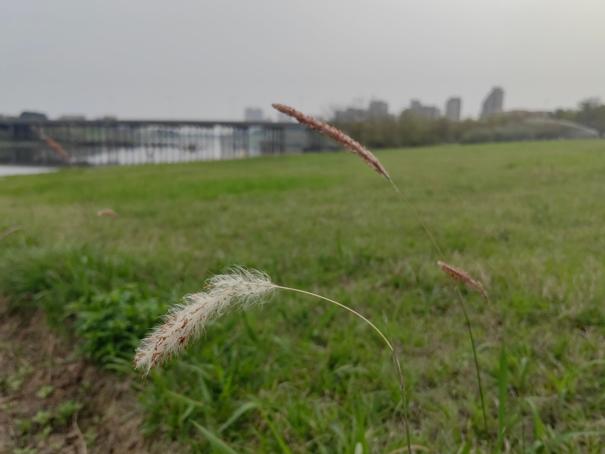 花海生态公园旅行图片 3