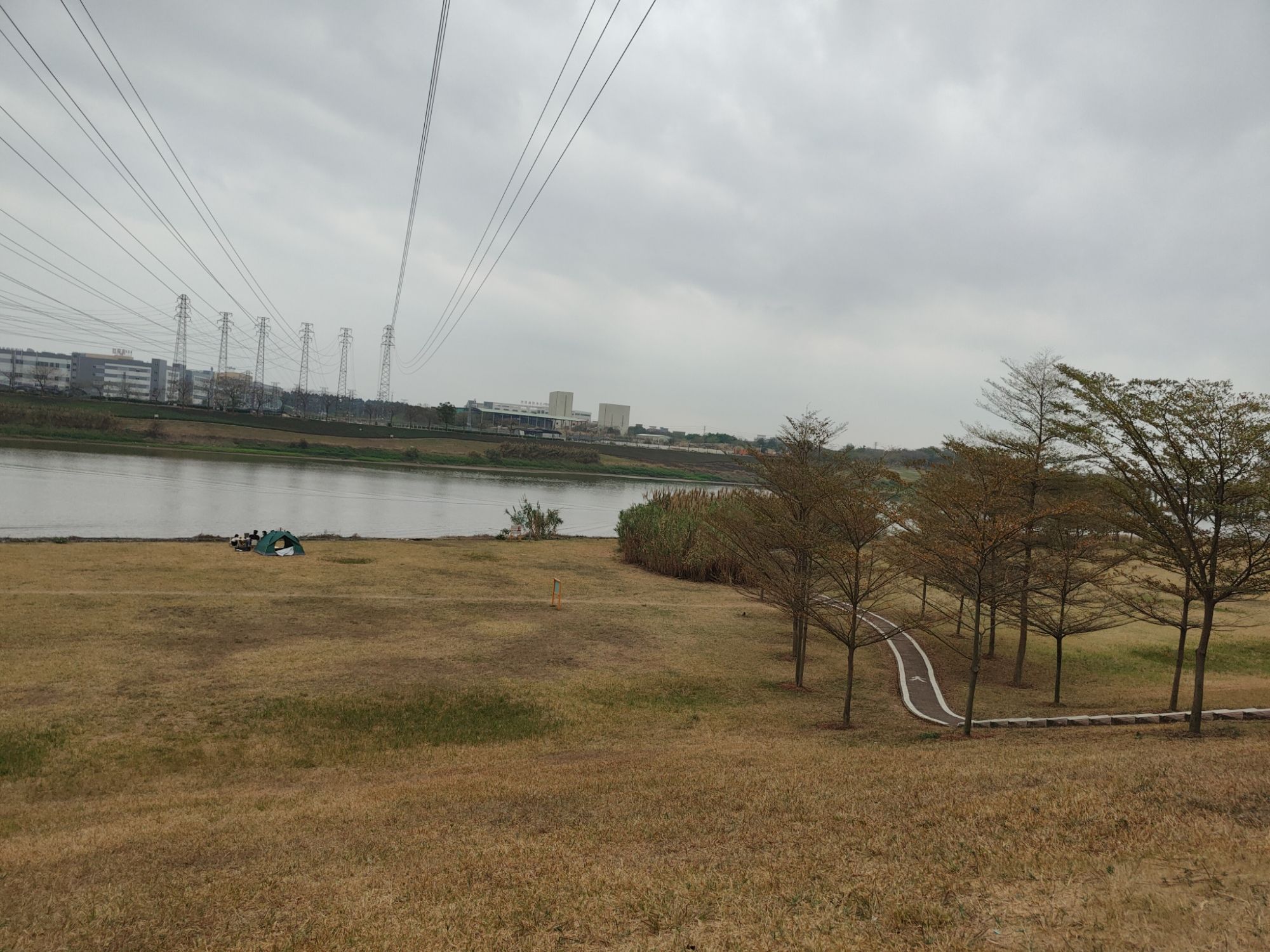 花海生态公园旅行图片 2