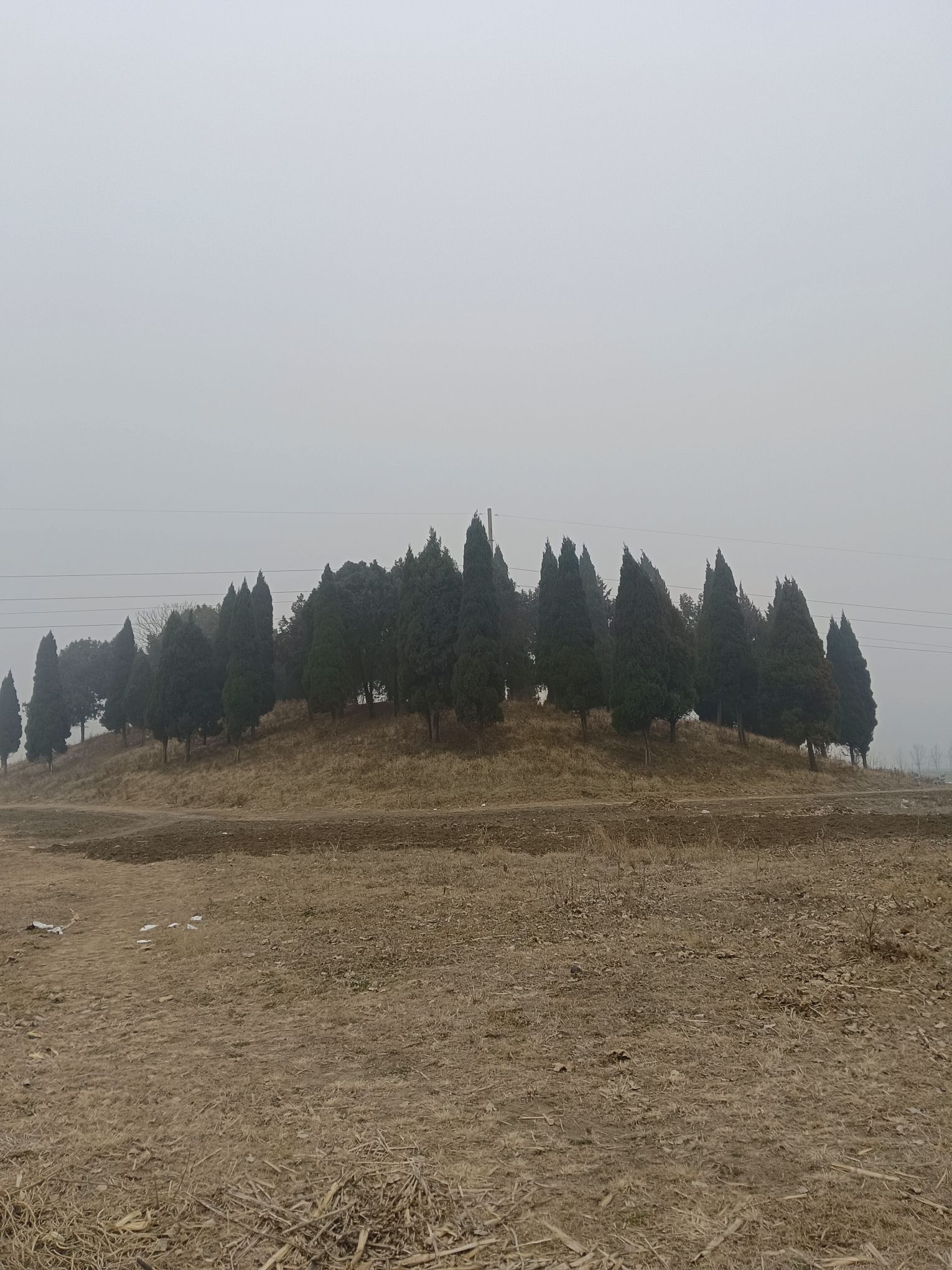 范蠡墓旅行图片 1