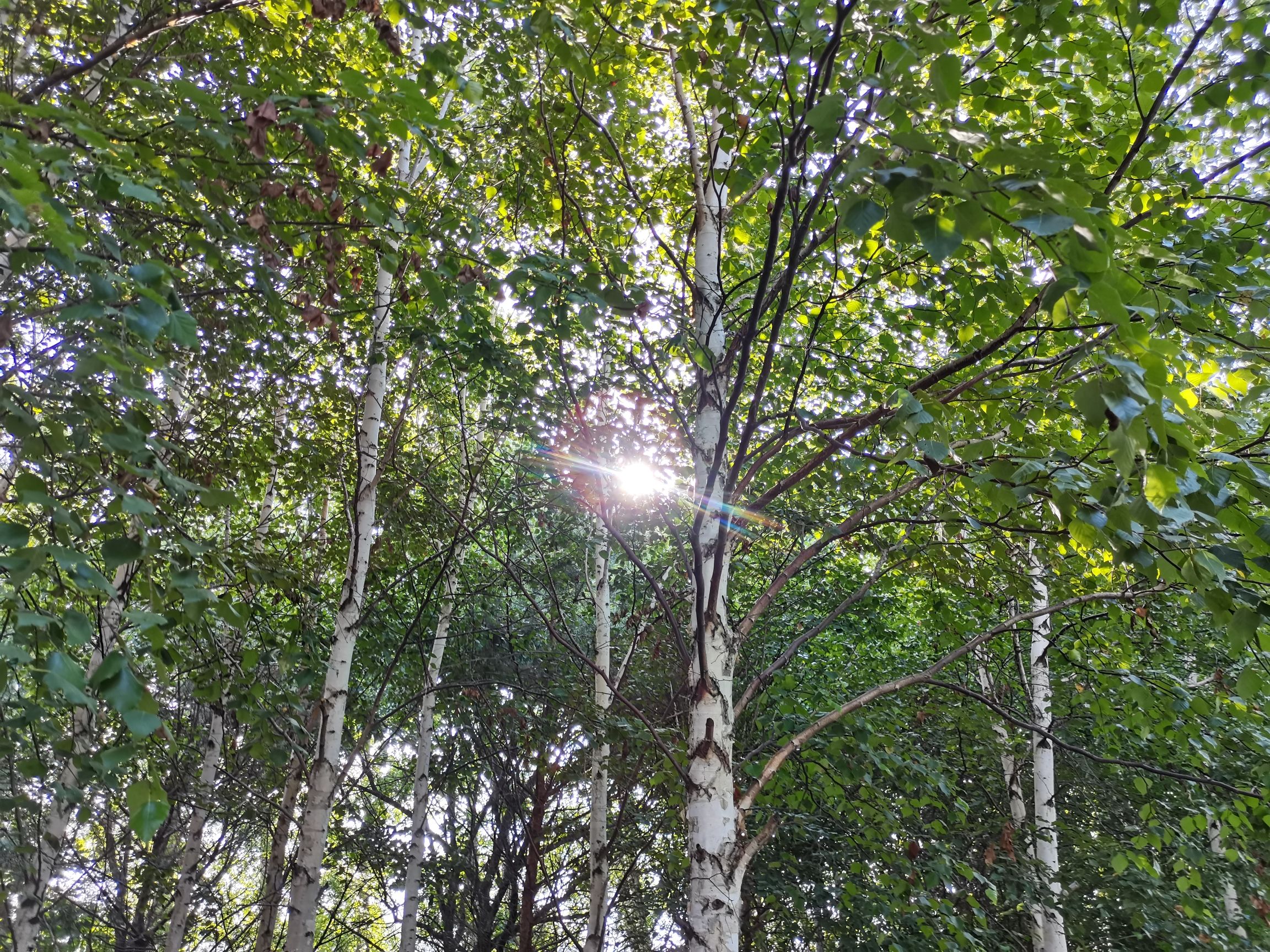 大兴植物园旅行图片 1