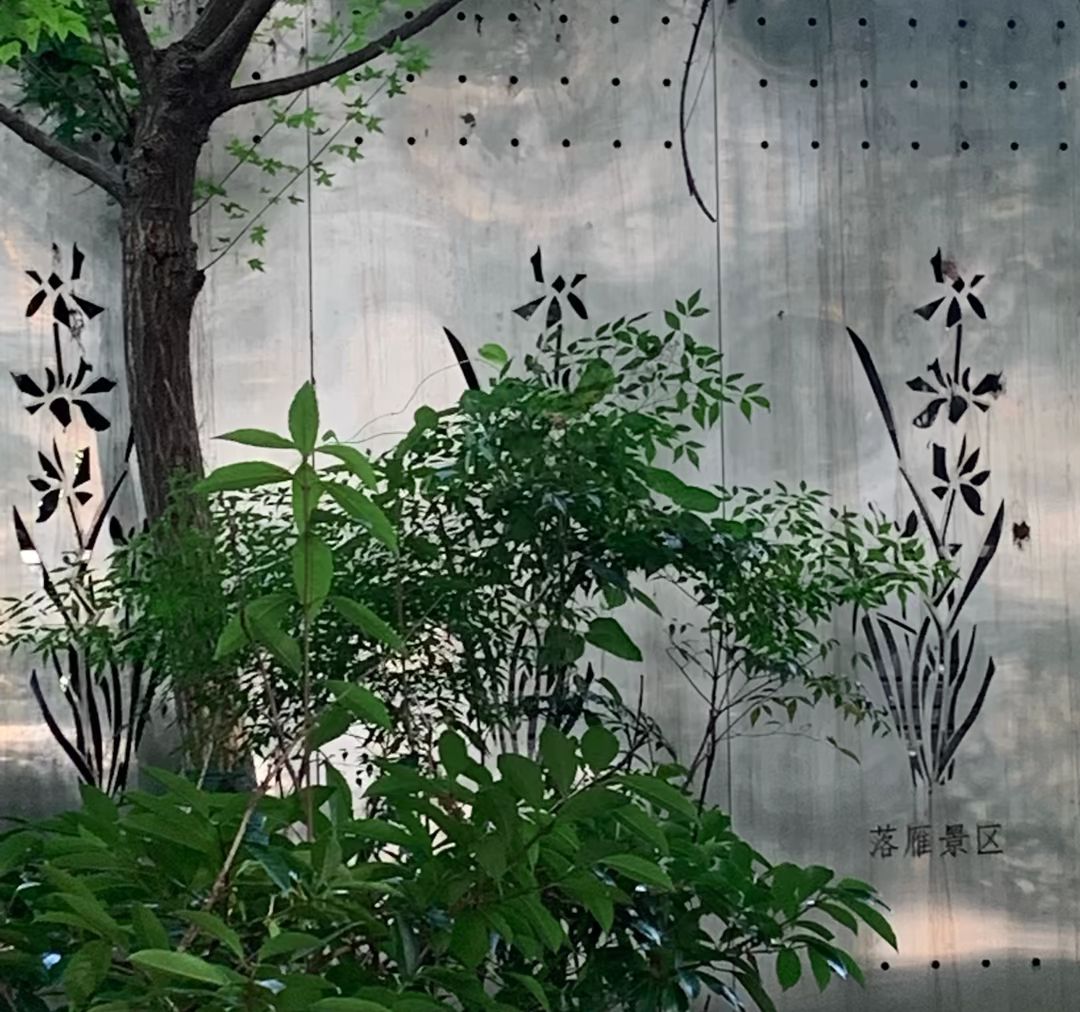 邱县东湖公园旅行图片 1