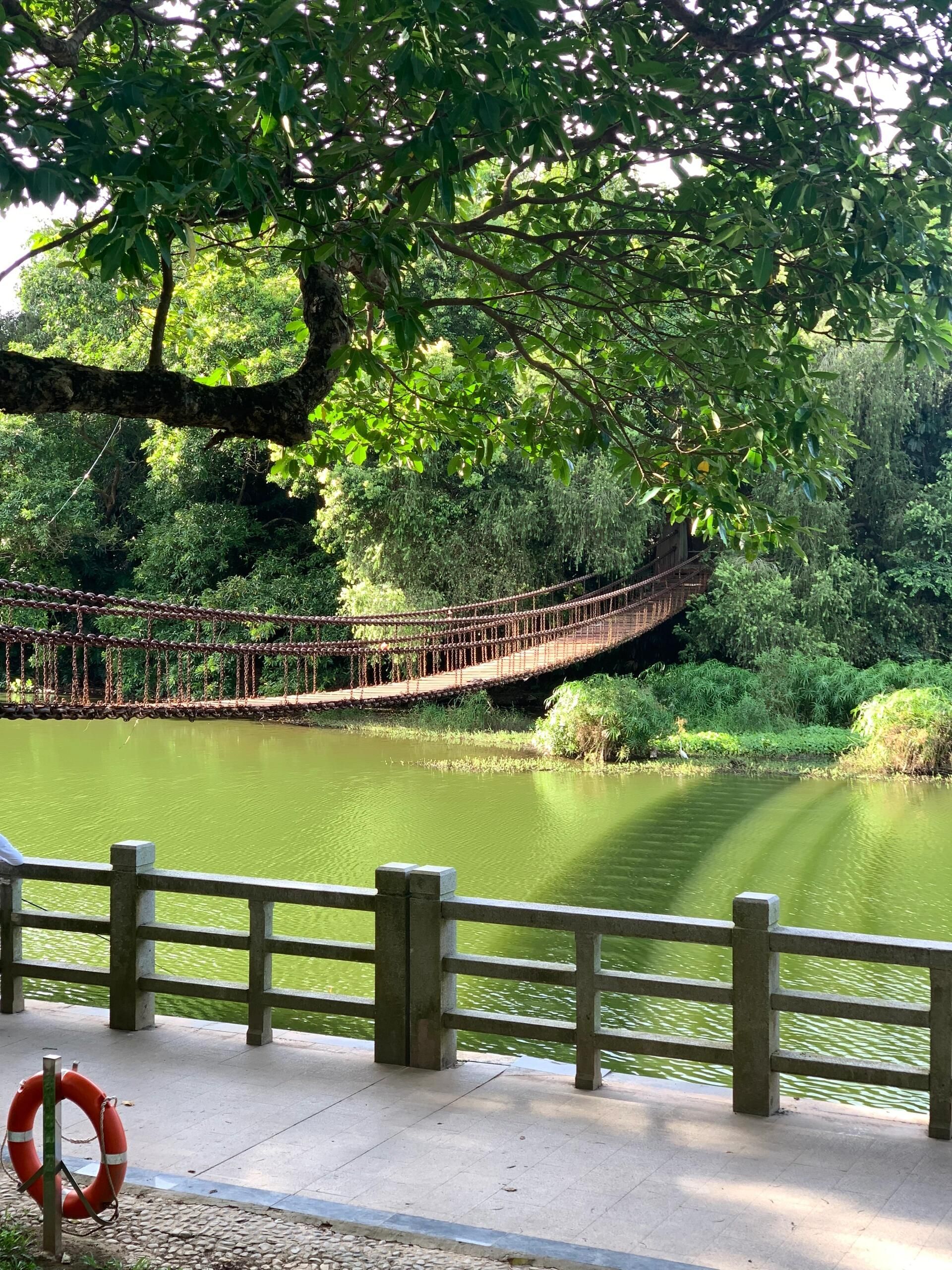 邱县东湖公园旅行图片 2