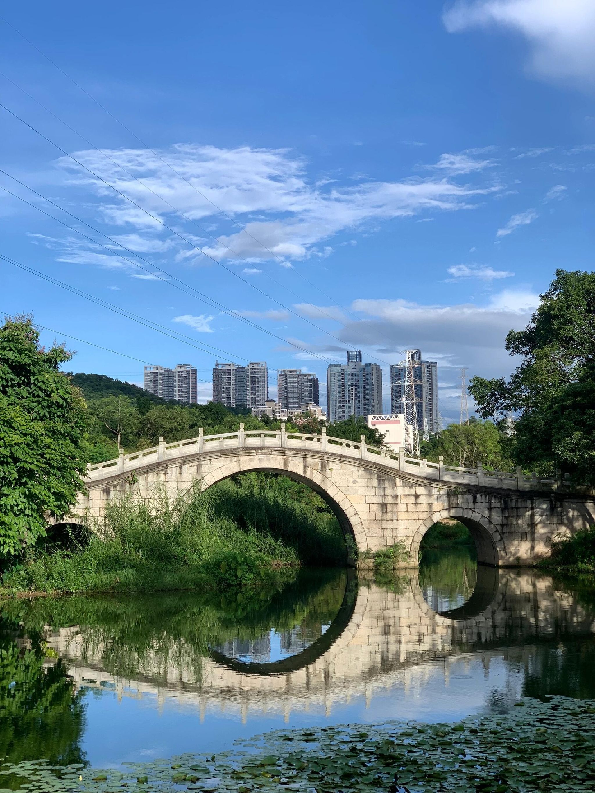 邱县东湖公园旅行图片 1