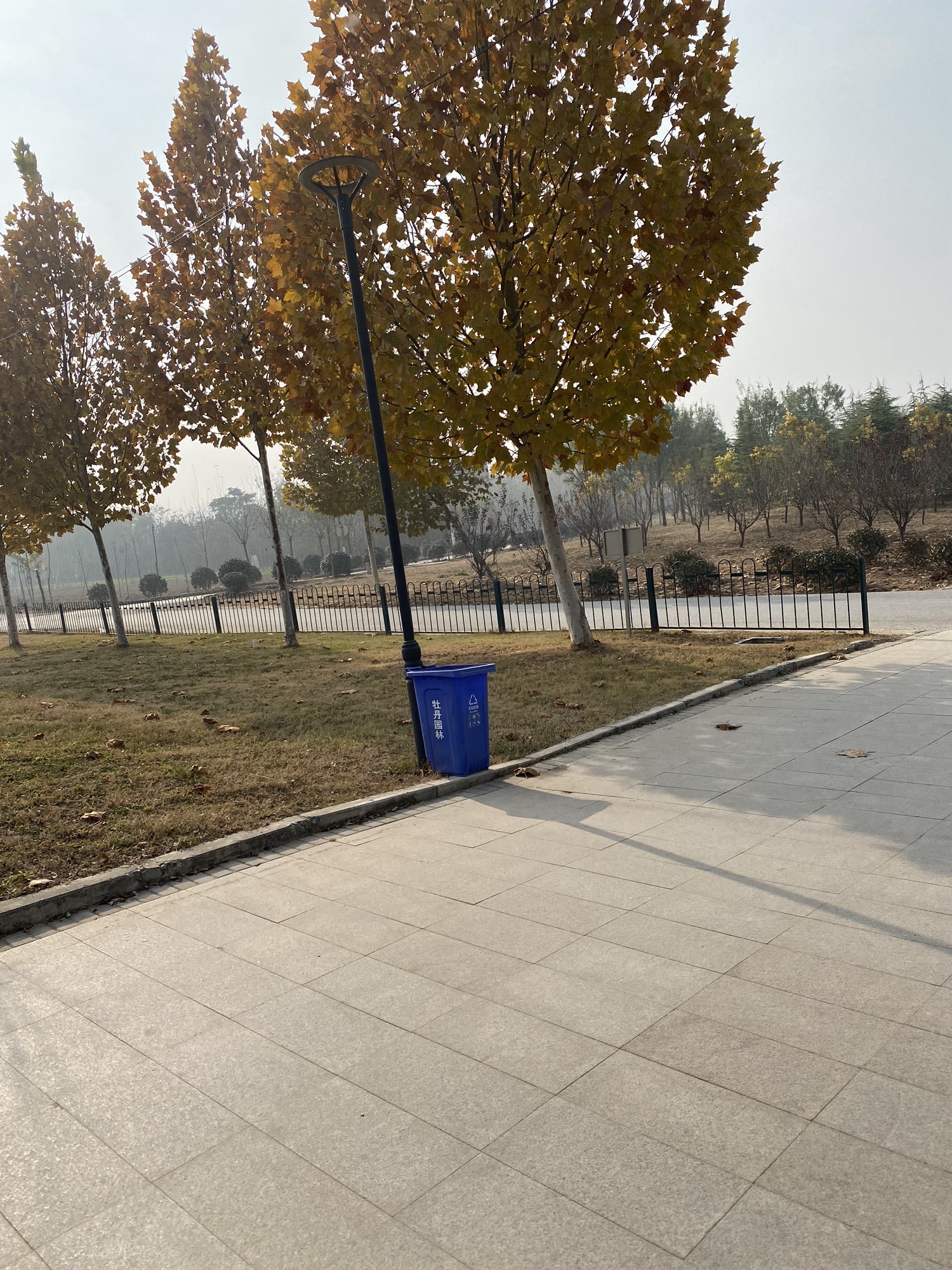 七里河湿地公园旅行图片 2