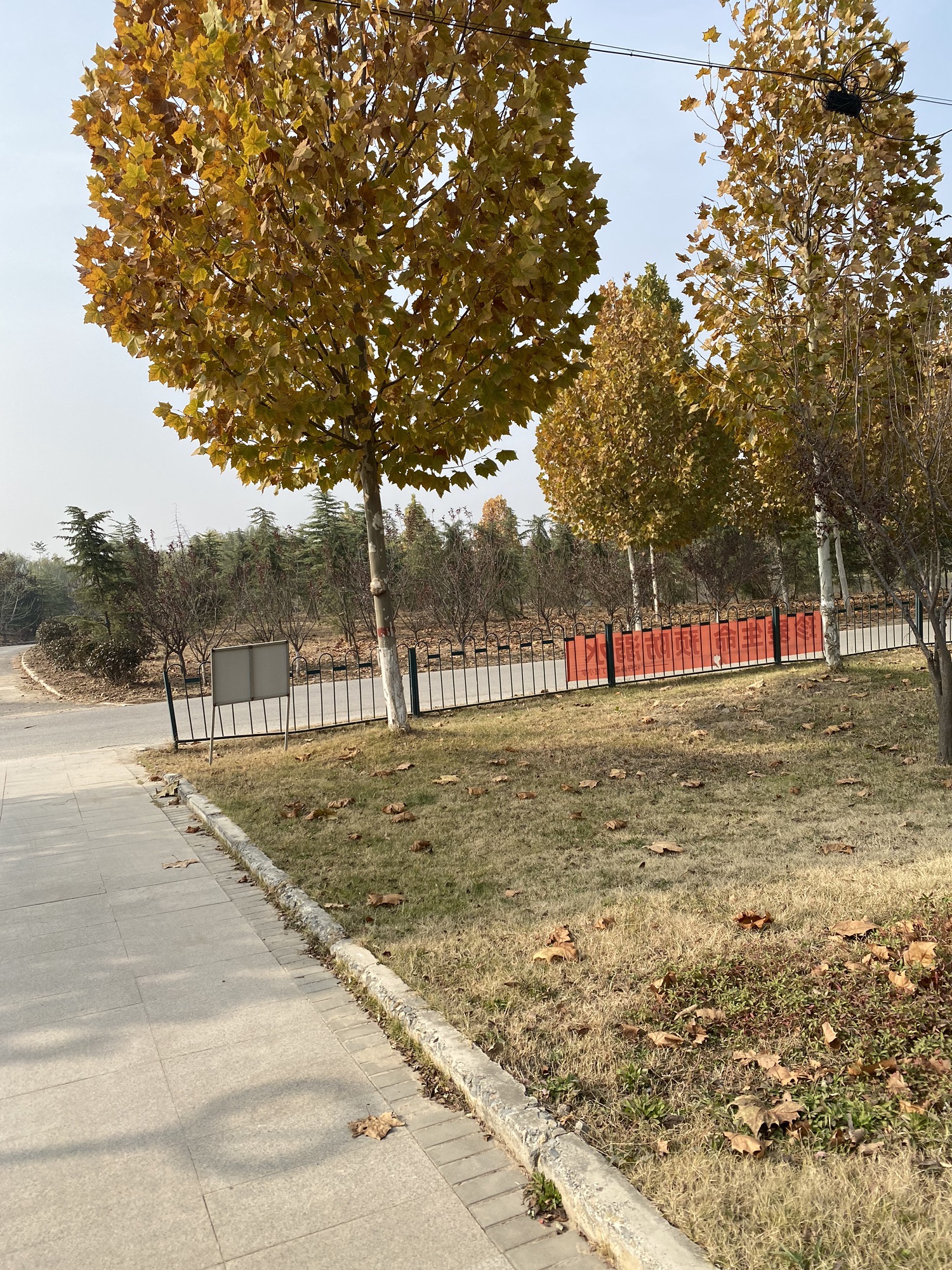 七里河湿地公园旅行图片 3