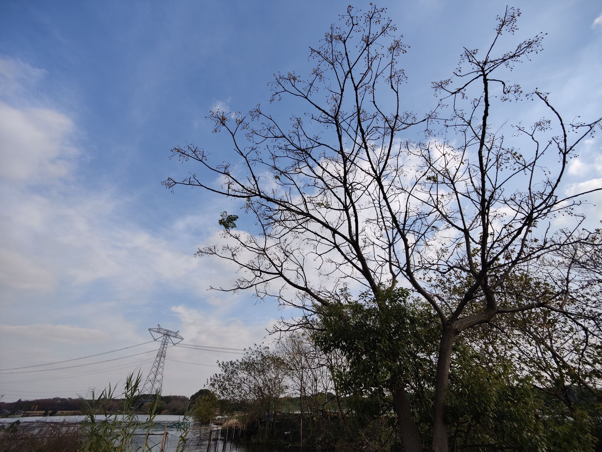 苏州市吴江区平望莺脰湖生态公园旅行图片 1