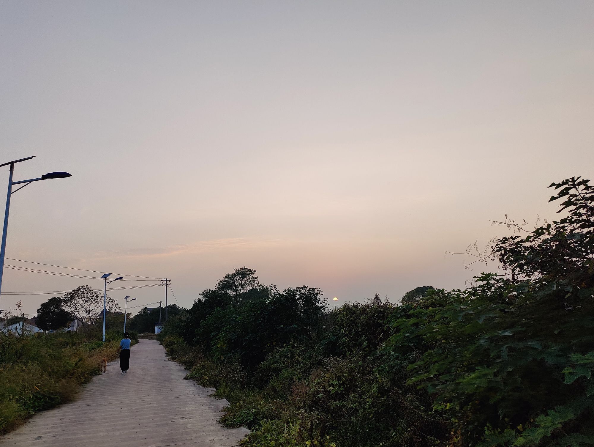 苏州市吴江区平望莺脰湖生态公园旅行图片 3