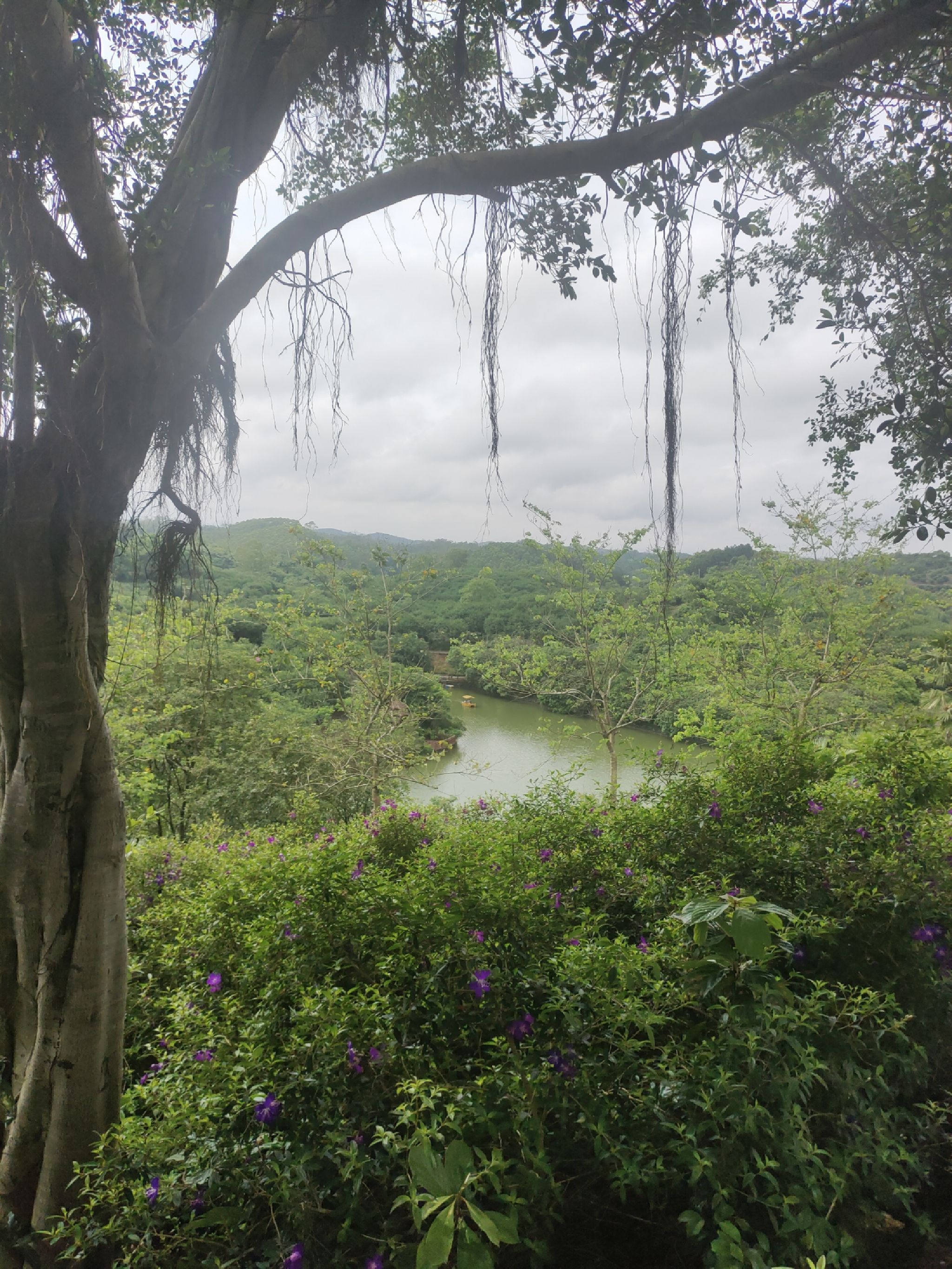 越州天湖-观景台旅行图片 2