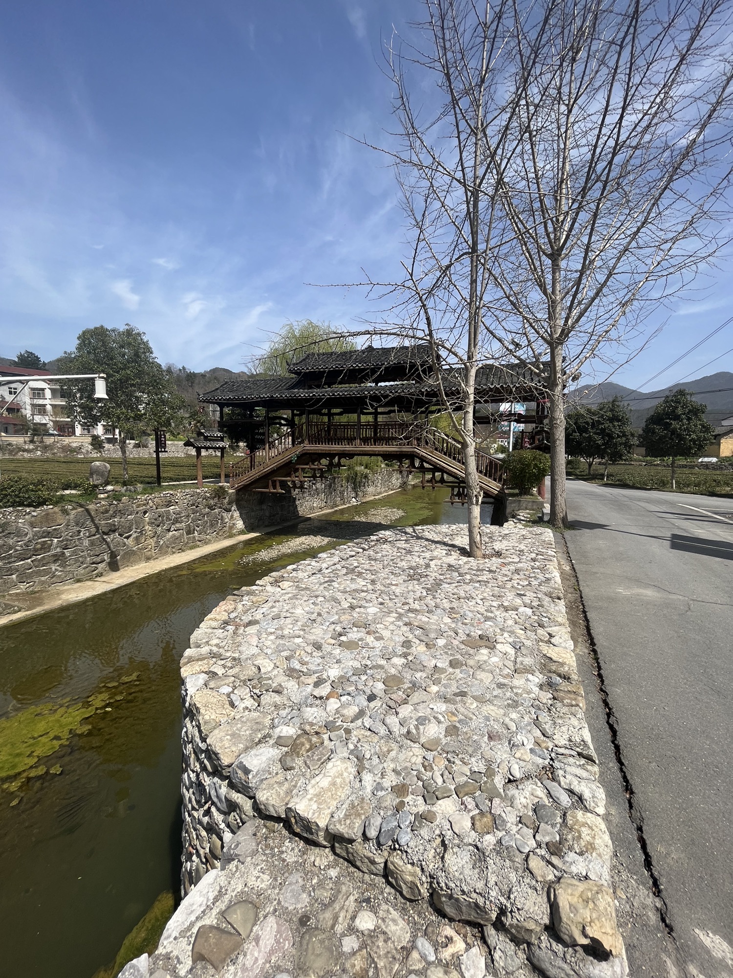 花千谷爱情石林景区旅行图片 3