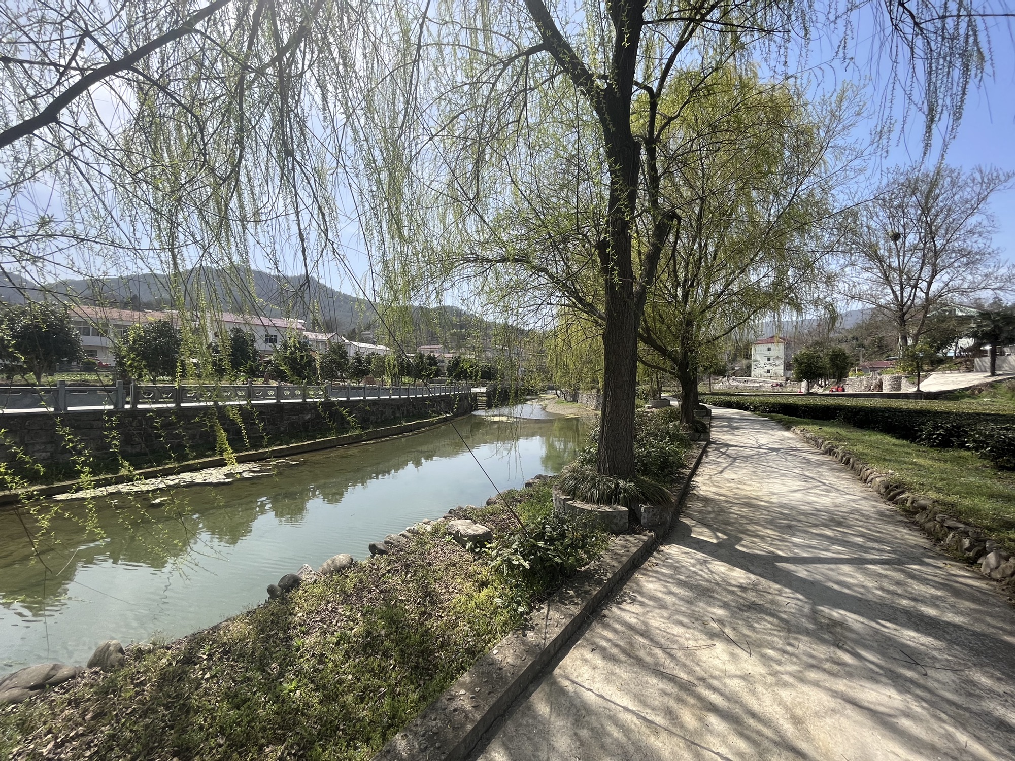 花千谷爱情石林景区旅行图片 1
