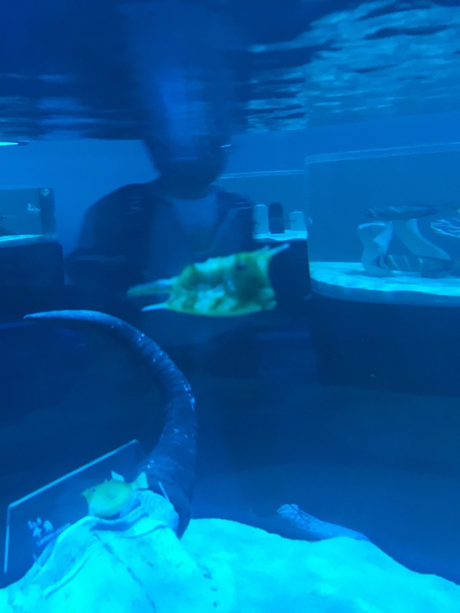 包头海洋世界旅行图片 1