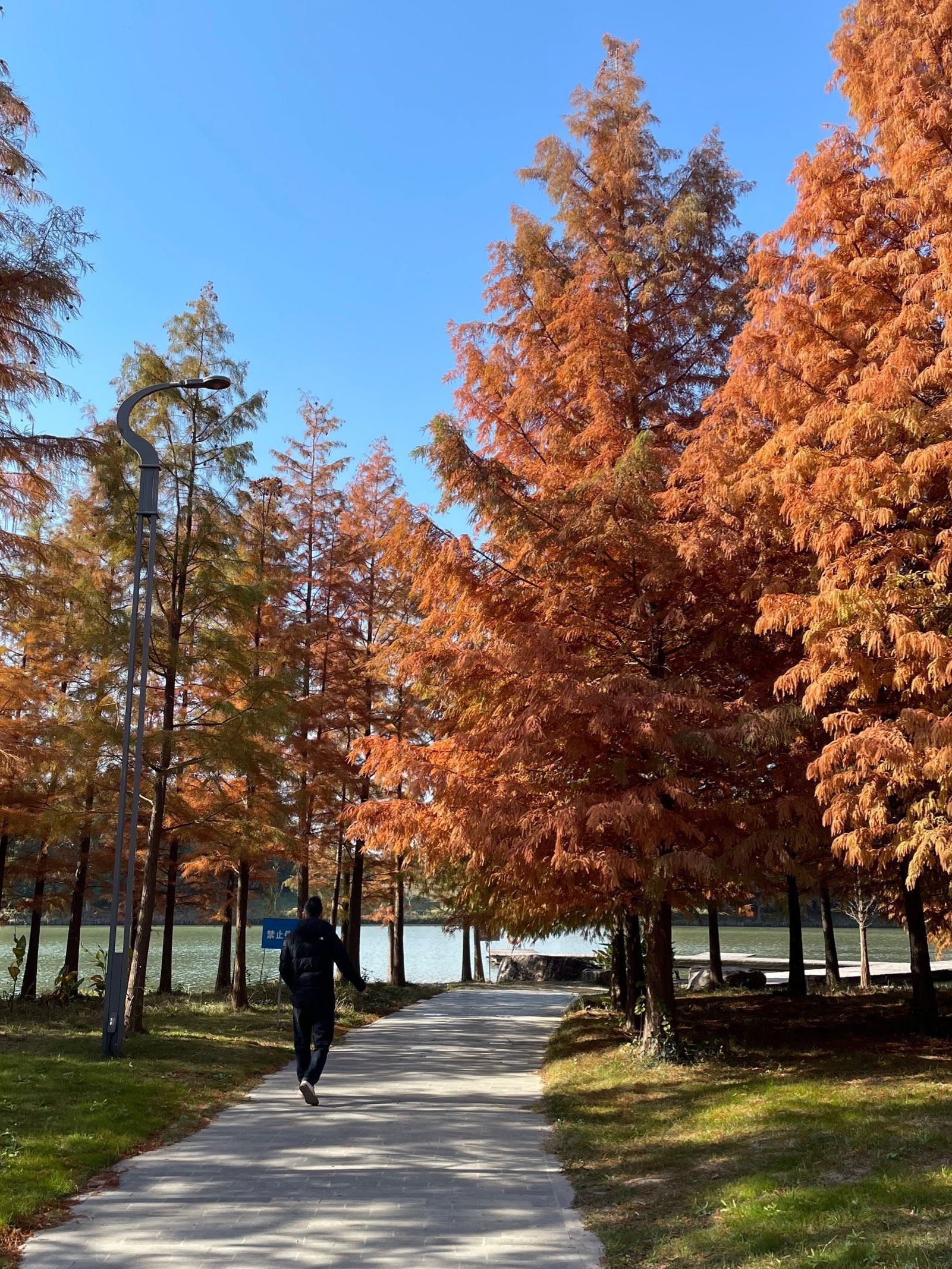 五里湖生态湿地公园旅行图片 2