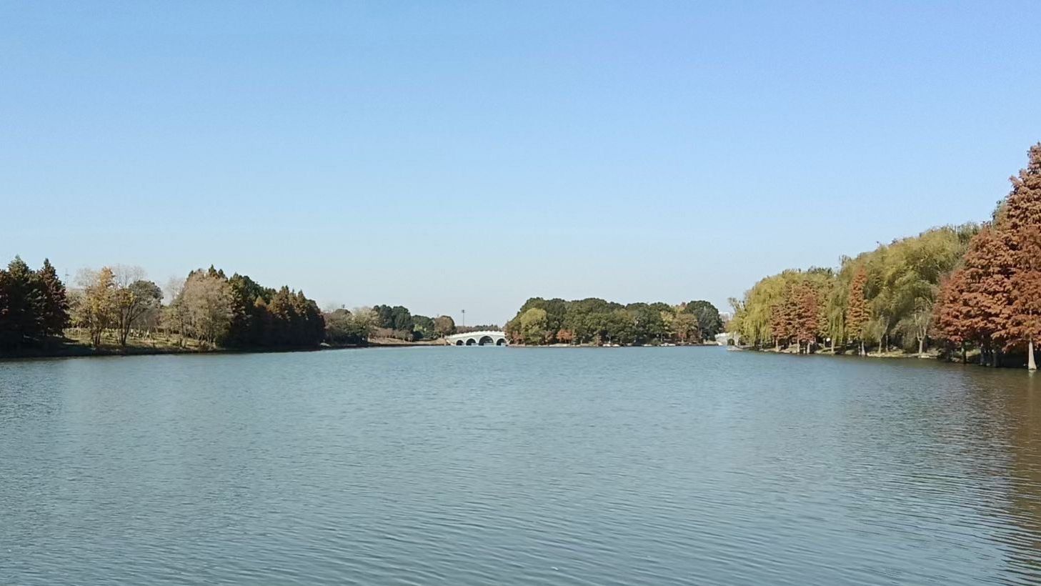 五里湖生态湿地公园旅行图片 3