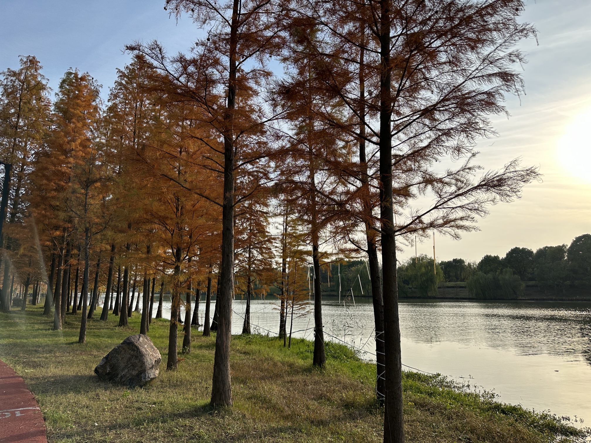 五里湖生态湿地公园旅行图片 3