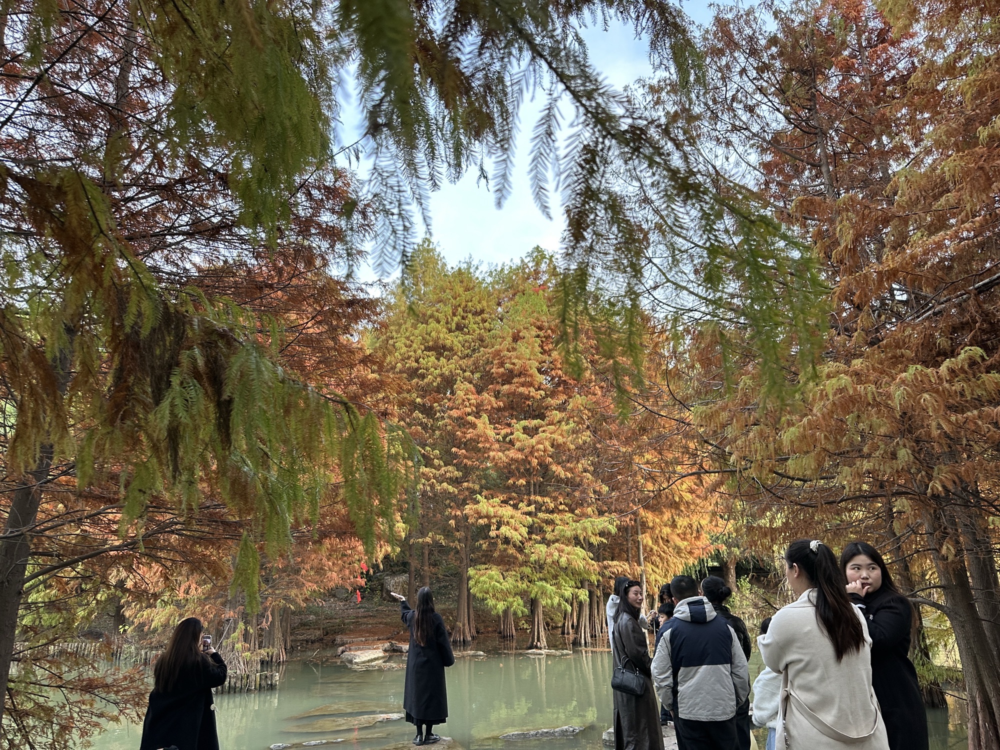 五里湖生态湿地公园旅行图片 1
