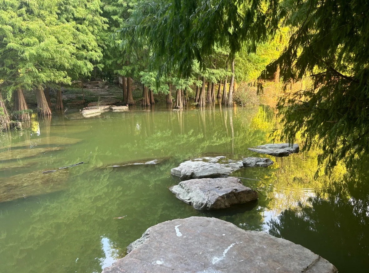 五里湖生态湿地公园旅行图片 1