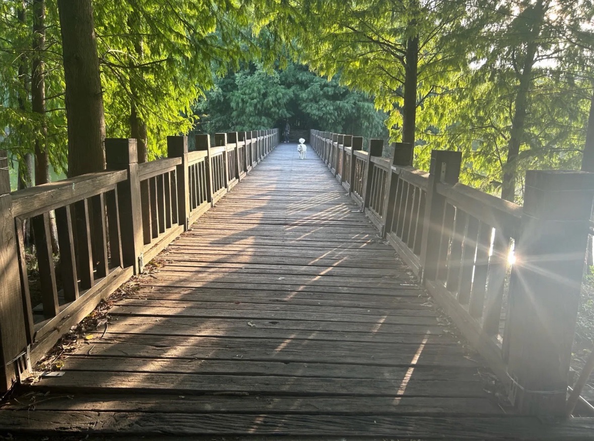 五里湖生态湿地公园旅行图片 3