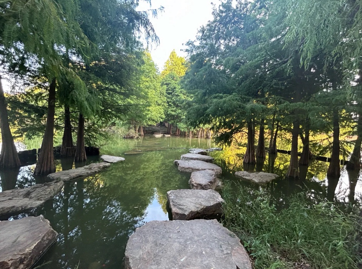 五里湖生态湿地公园旅行图片 2