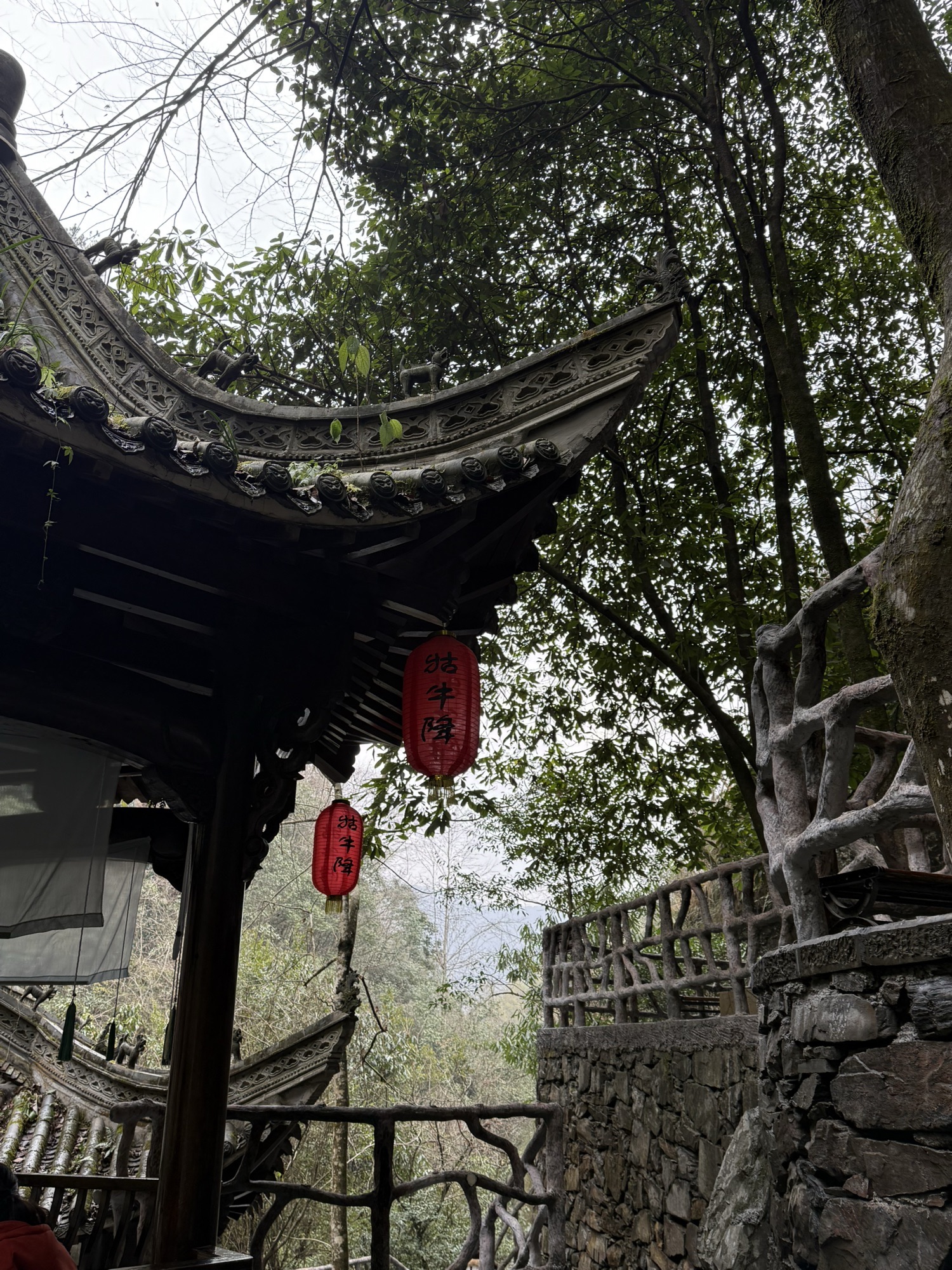 五里湖生态湿地公园旅行图片 3