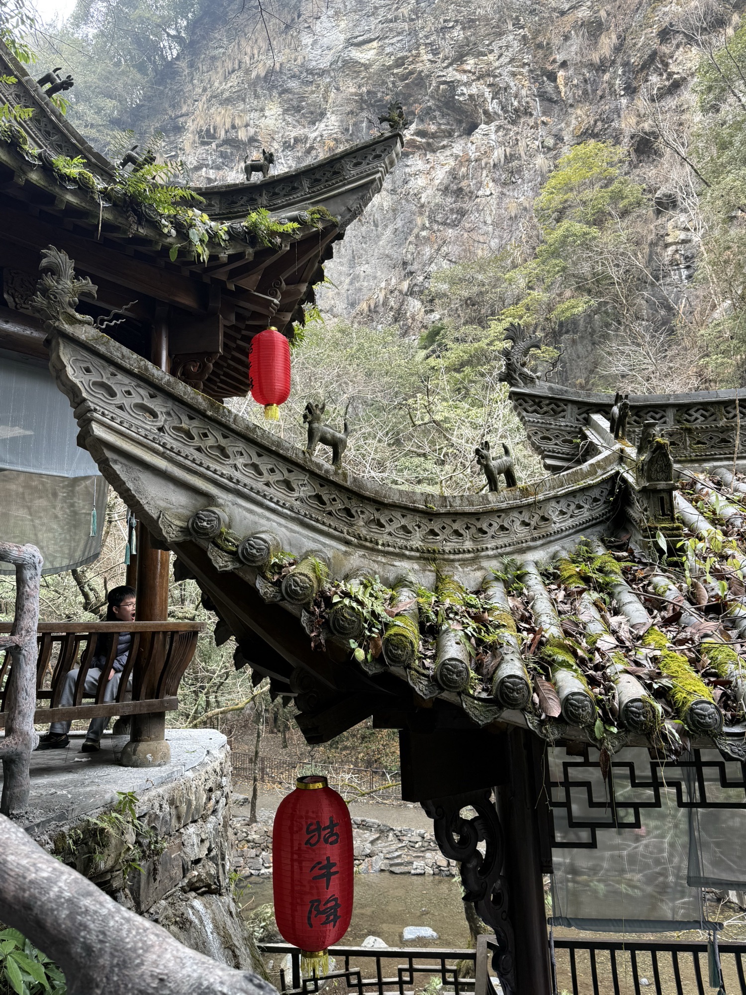 五里湖生态湿地公园旅行图片 2