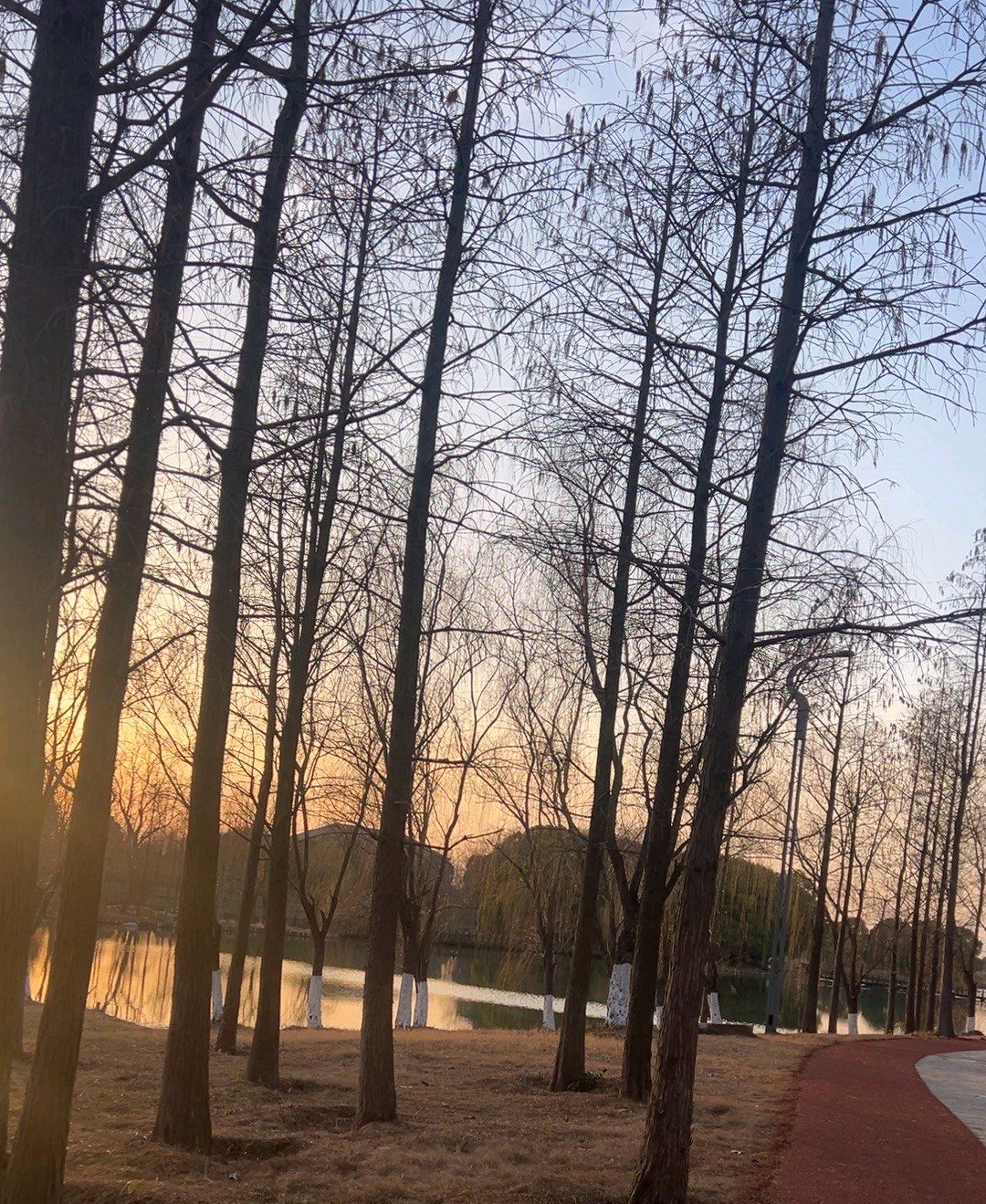 五里湖生态湿地公园旅行图片 1