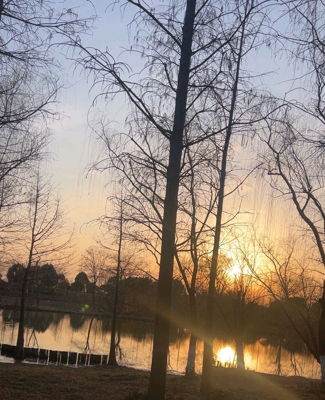 五里湖生态湿地公园旅行图片 2